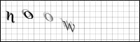 Captcha Bild